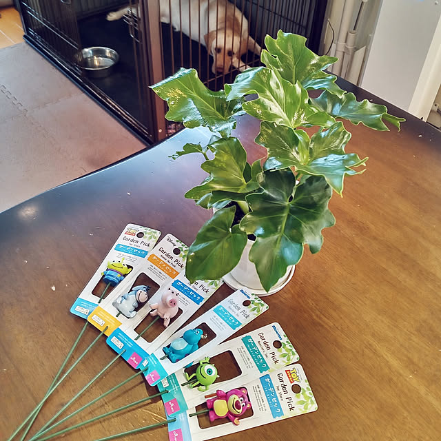 rabuさんの実例写真
