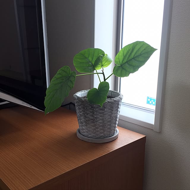 koremomoさんの実例写真