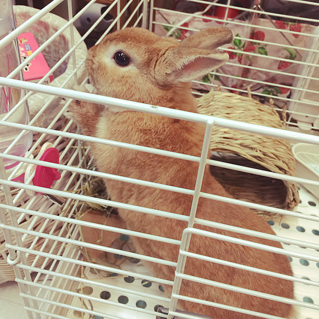 Yasuyukiさんの実例写真