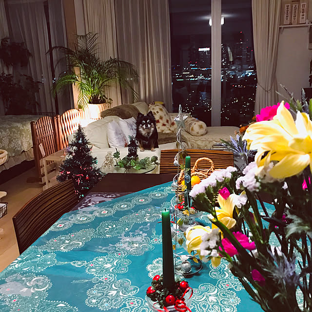 molpieさんの実例写真