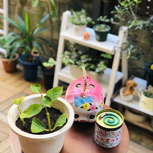 Nobbyさんの実例写真