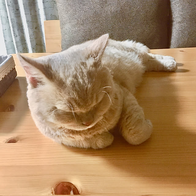 naokoさんの実例写真