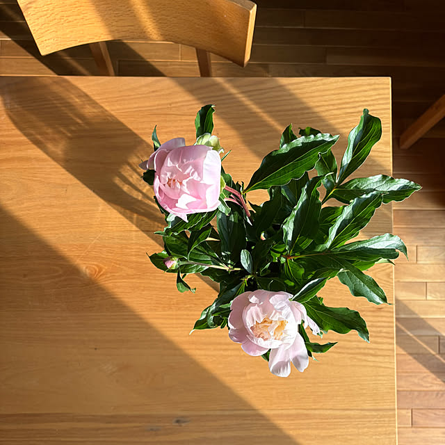 nana77さんの部屋