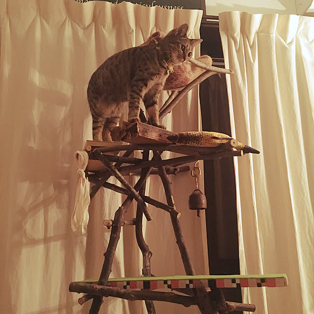Mさんの実例写真