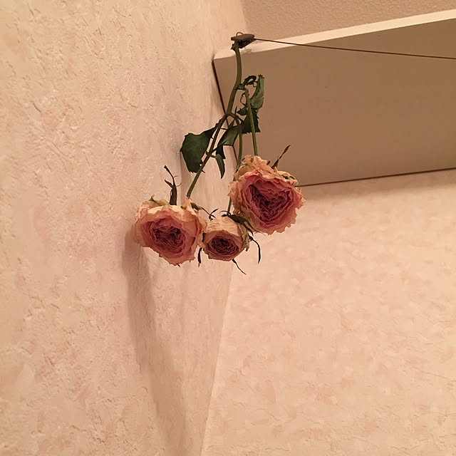 o_____s0802さんの実例写真