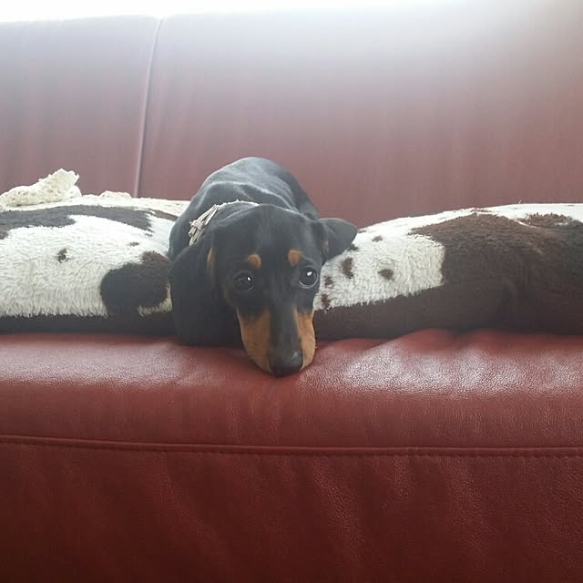 karinさんの実例写真
