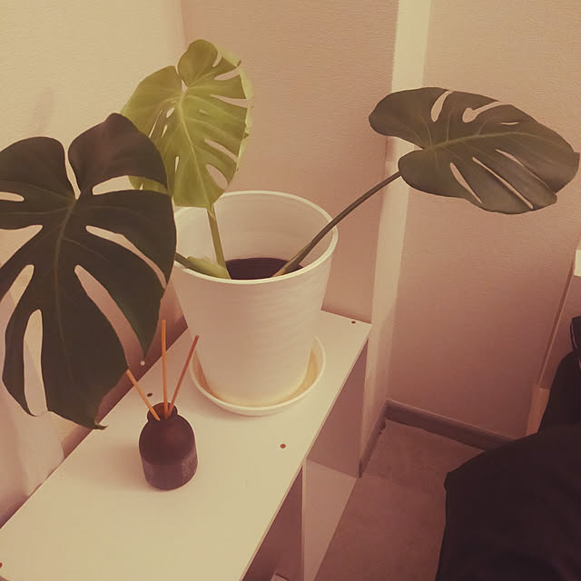 minimal_okinawaさんの実例写真