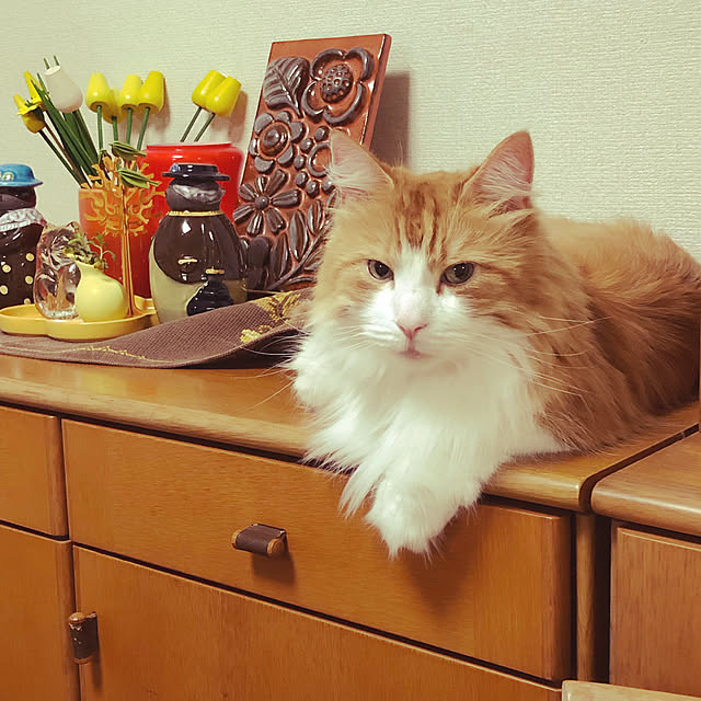 uchidaizuさんの実例写真