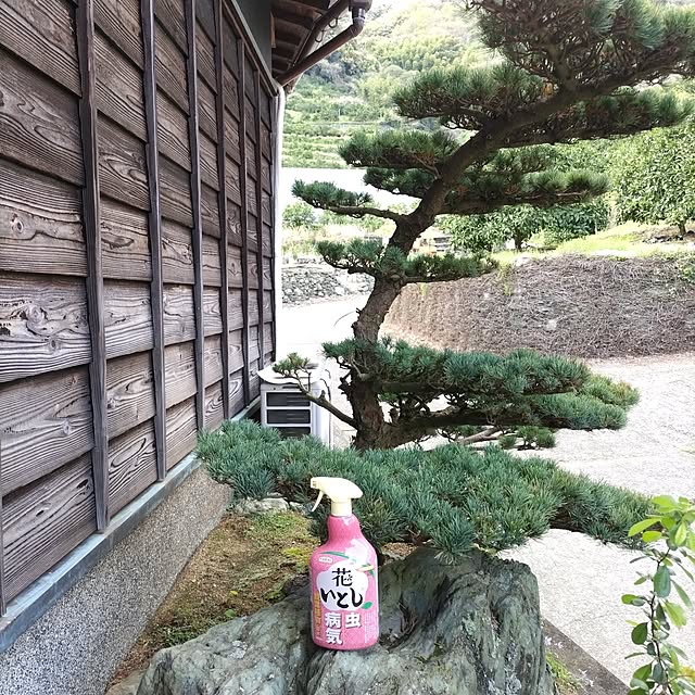 kuririnmamaさんの部屋