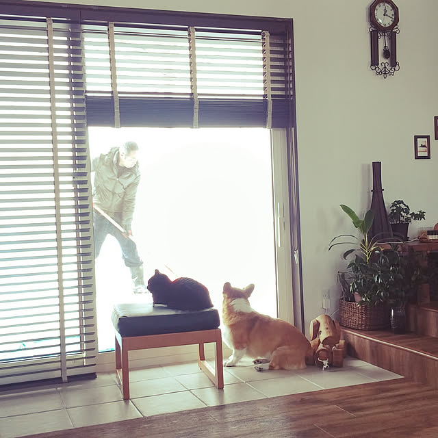 mapiさんの実例写真