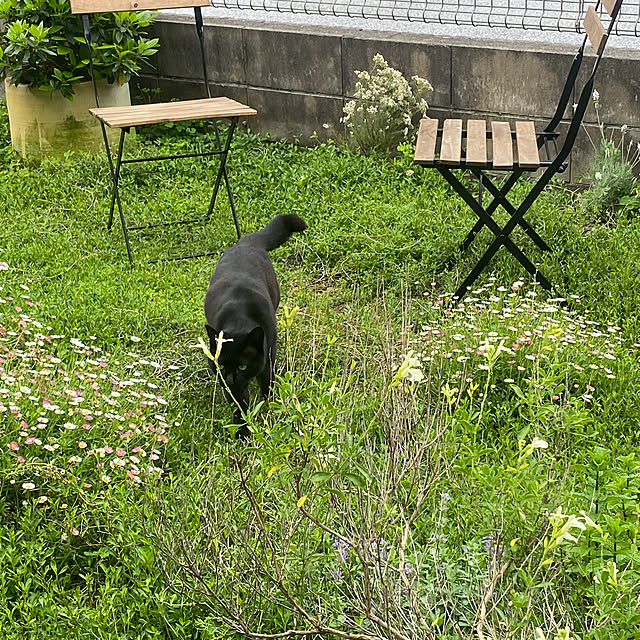 taakoさんの部屋