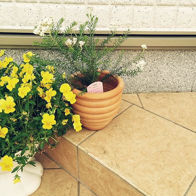 noddymamaさんの実例写真