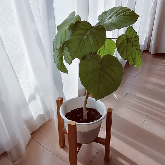 hanaさんの実例写真