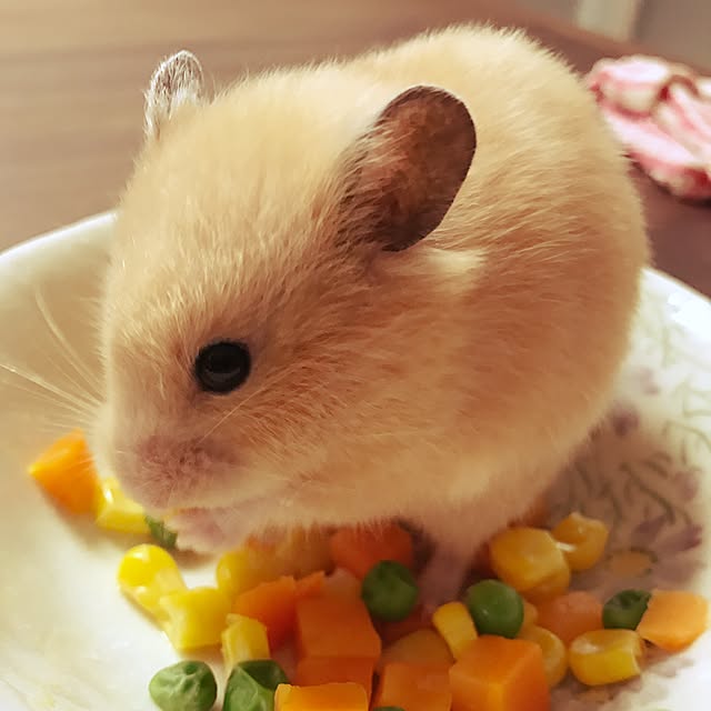 atsukoさんの実例写真