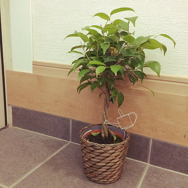 NrHyさんの実例写真