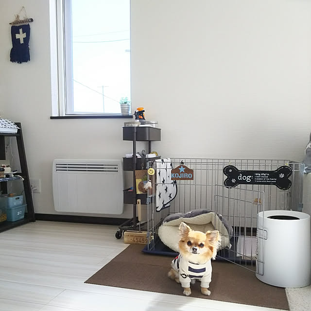 kojikojiさんの実例写真