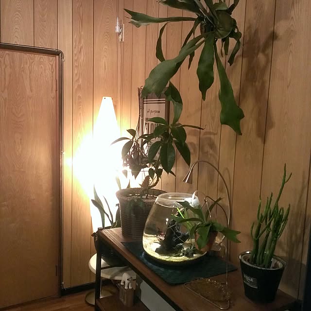 721さんの実例写真
