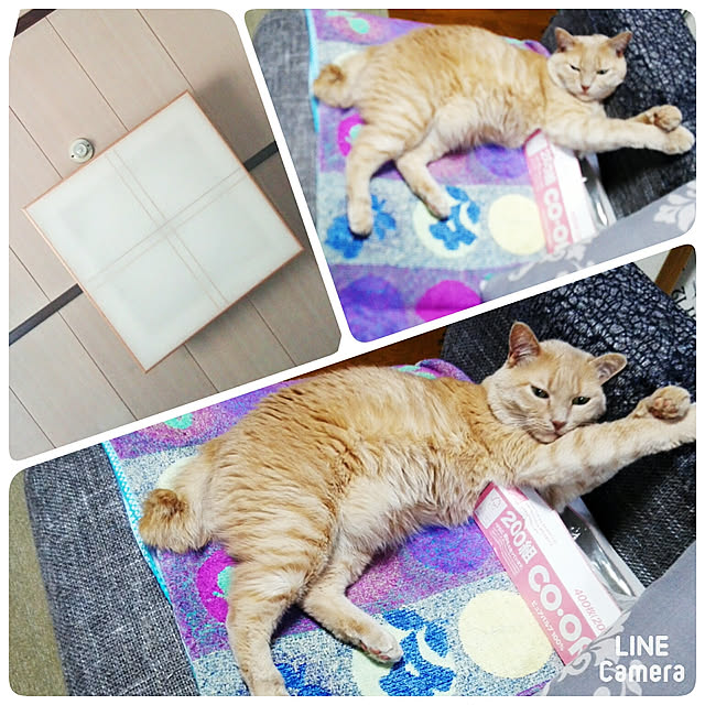 nana.maroさんの実例写真