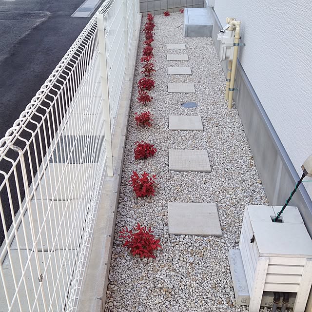 KisKさんの実例写真