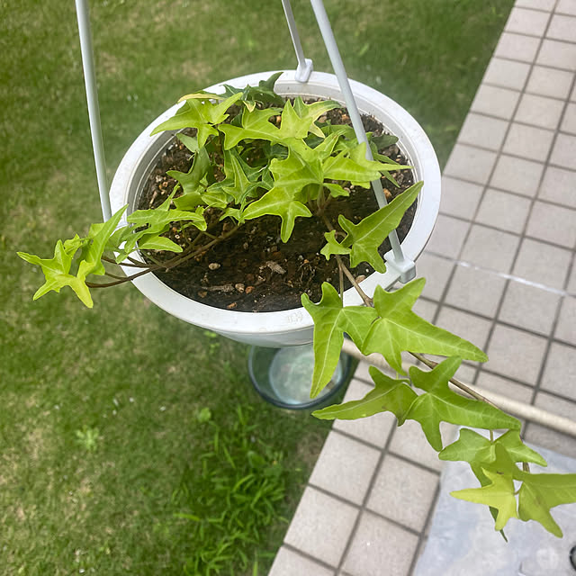 YuuKoさんの部屋