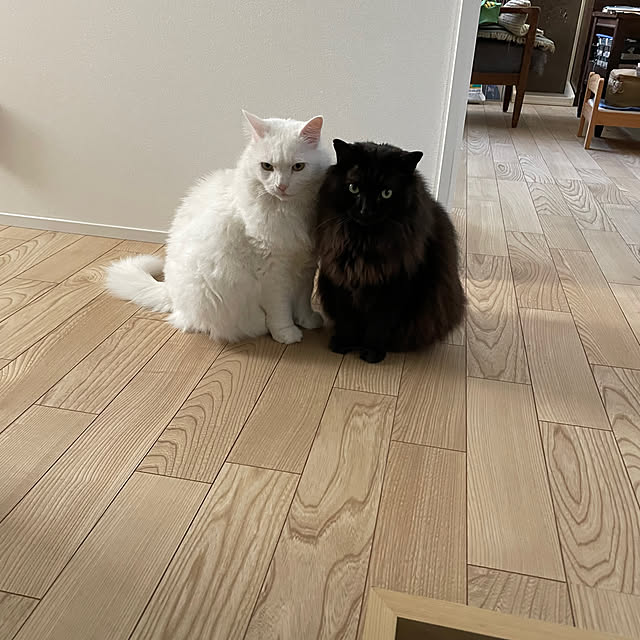 nuffyさんの部屋