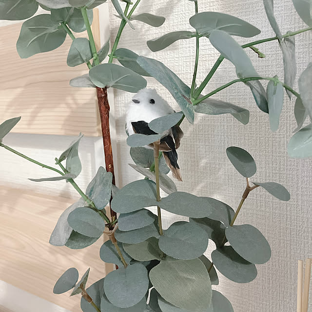 yuukiさんの部屋