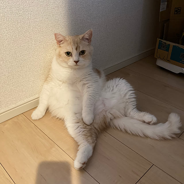 H.Tさんの部屋