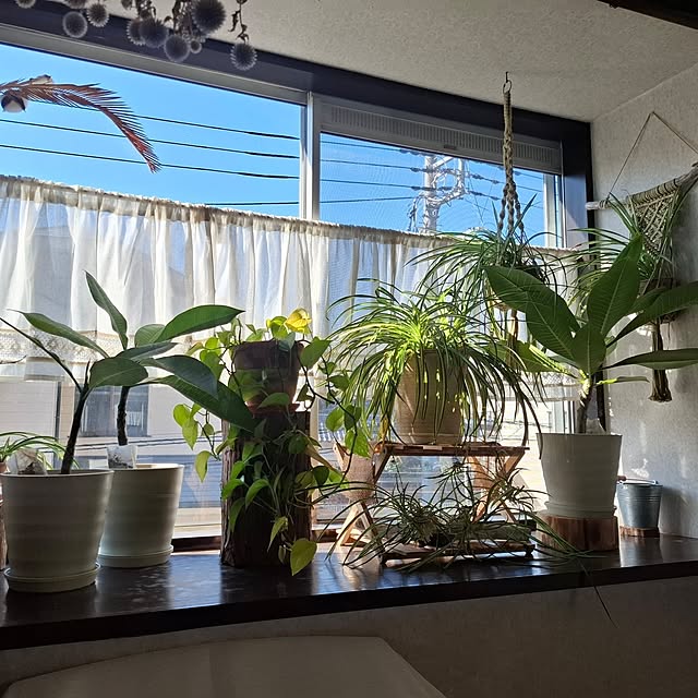 midoriさんの部屋