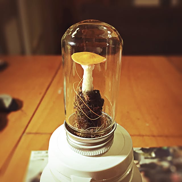 ramuchop3000さんの実例写真