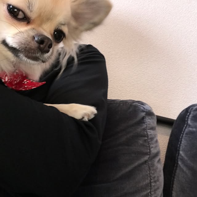 gentaさんの実例写真