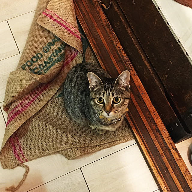Mさんの実例写真