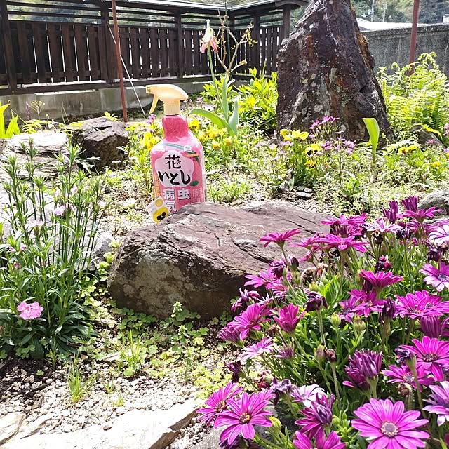 kuririnmamaさんの部屋
