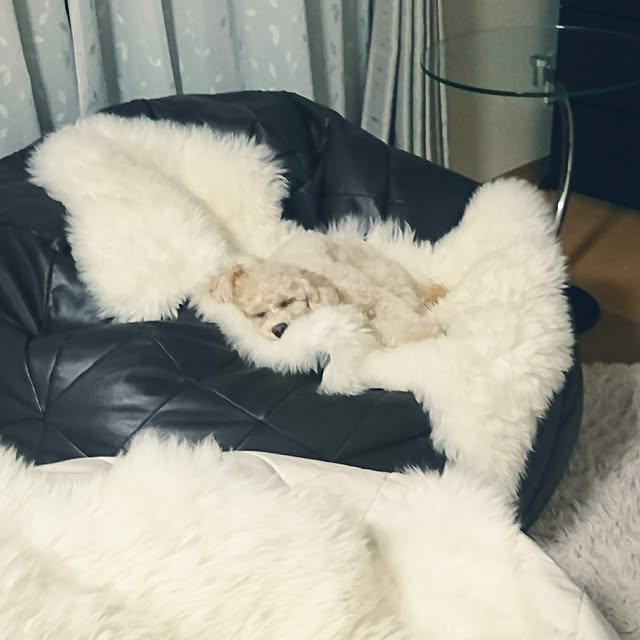 maruchapさんの実例写真