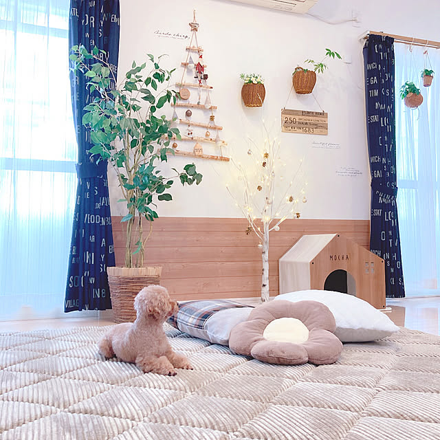 e.and.m.mamaさんの実例写真