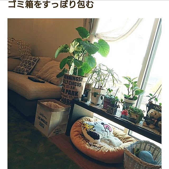 akiさんの実例写真