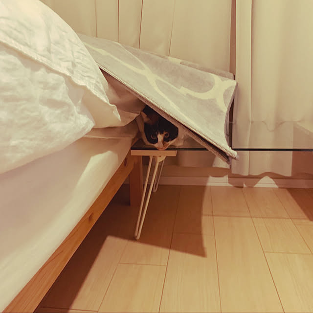 goomayuさんの実例写真
