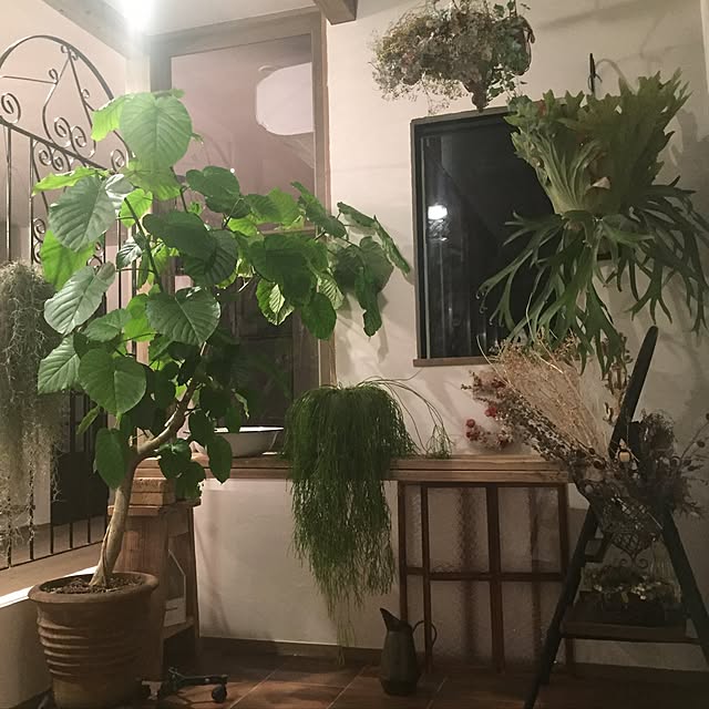 Antiqueさんの実例写真