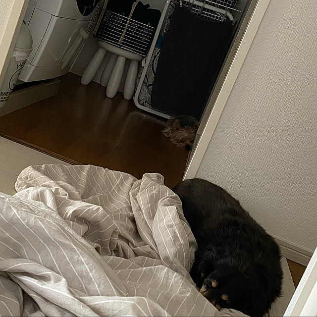 ohanaさんの実例写真