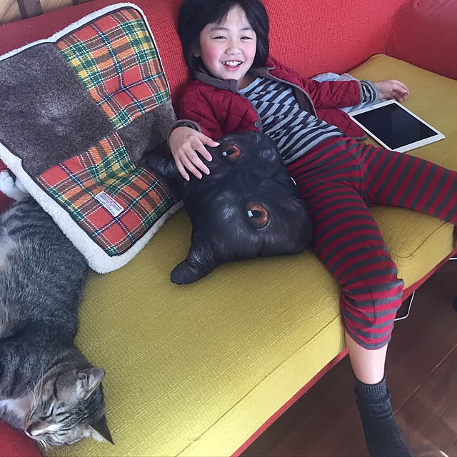 tsukiyuzuさんの実例写真