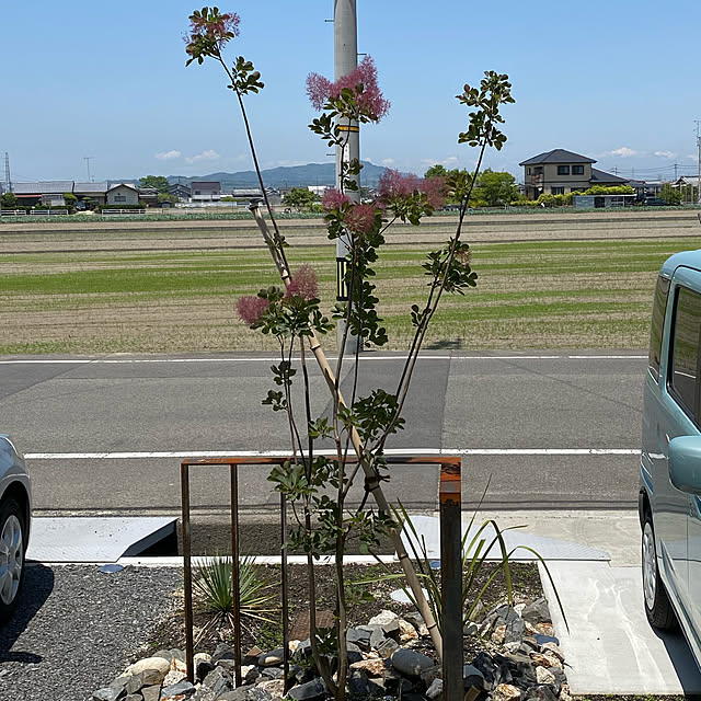 urotanさんの実例写真