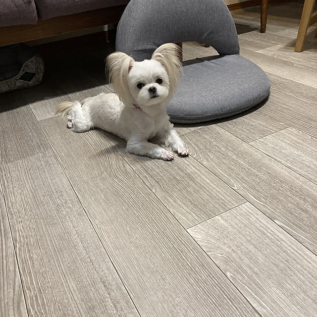 chi.r2さんの実例写真