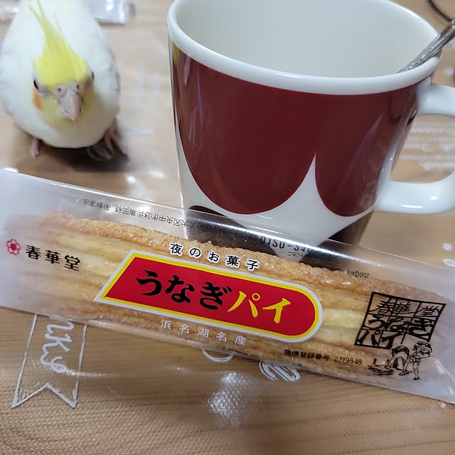 ANTENNAさんの実例写真