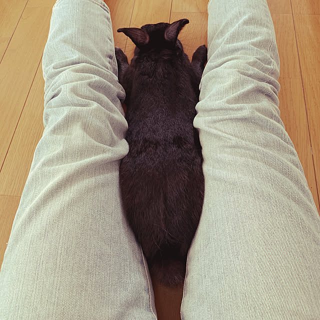 kuro_mameさんの実例写真