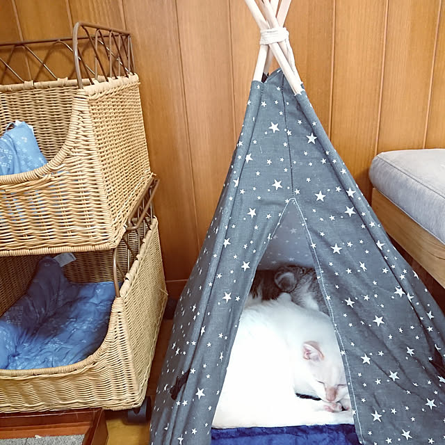 nachiさんの実例写真