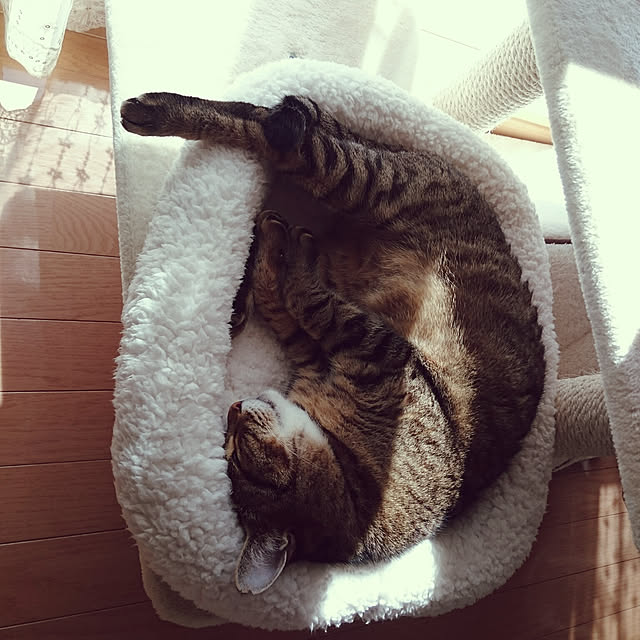 lilyさんの実例写真