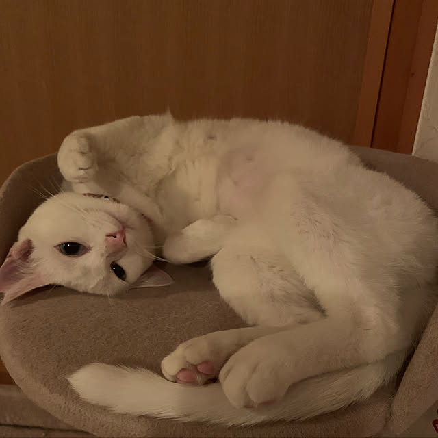 nmさんの実例写真