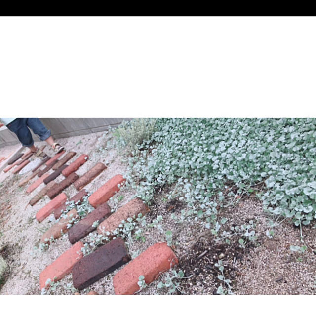 Yukicotoさんの実例写真