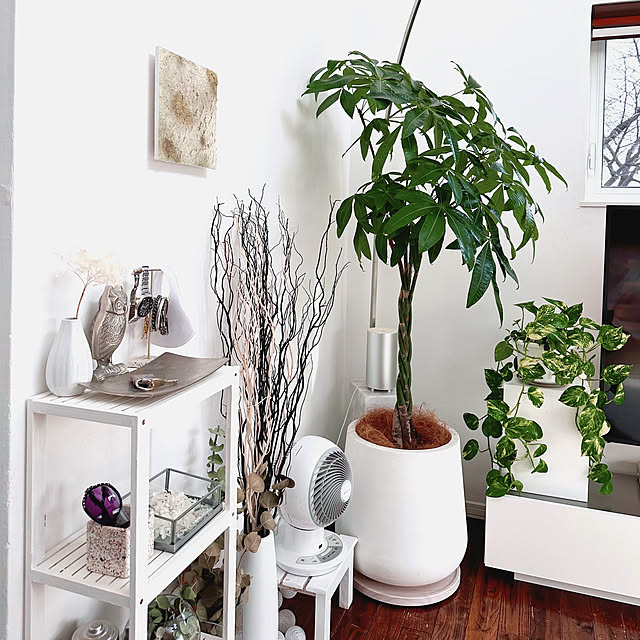 hanahana1444さんの部屋