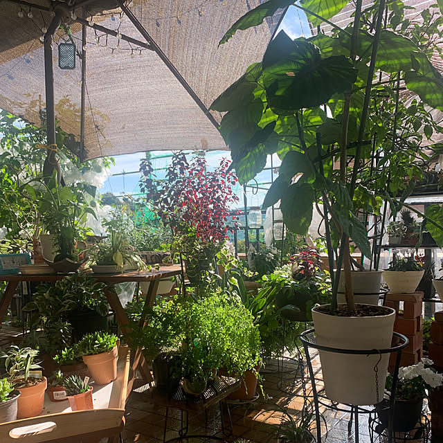 Aqettyさんの部屋