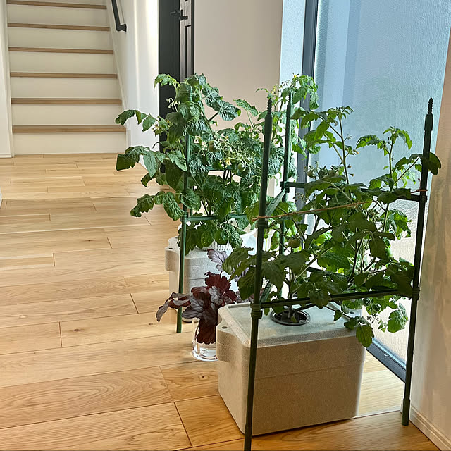 take_nokoさんの部屋